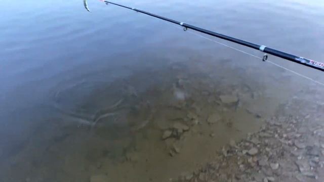 Алыһарга спиннинг, Марха өрүс. Ньурба, Киров. (Рыбалка спиннингом) смотреть онлайн