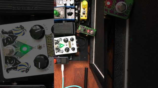 🎸Pharaoh Fuzz by Black Arts Tone Works смотреть онлайн