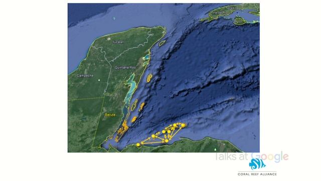 CORAL: Data-Driven Reef Conservation | Michael Webster | Talks at Google смотреть онлайн