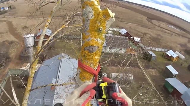 Удаление большого тополя по частям. Март 2020. Removing large poplar in parts. смотреть онлайн
