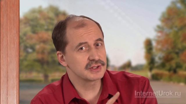 Строение семени. Плод. Видеоурок по биологии 6 класс смотреть онлайн