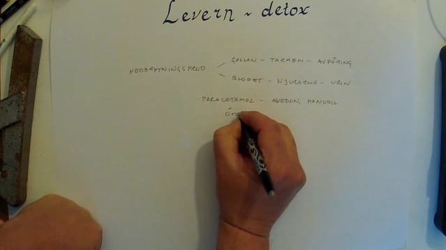 Kroppen - Levern