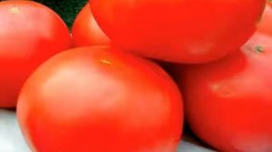 Томат Урал F1