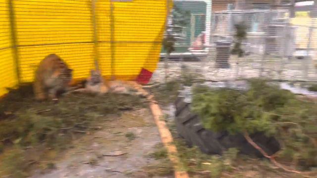 создаем новогоднее настроение& creating a Christmas mood смотреть онлайн