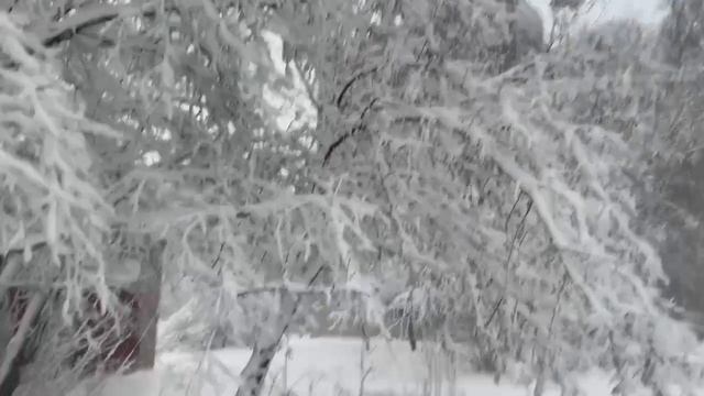 Друзья, мы продолжаем работать в рамках 10-й миссии по оказанию помощи мирным жителям Донбасса. смотреть онлайн