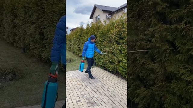 Обработка Туй и хвойников. Часть 1. Контакт смотреть онлайн