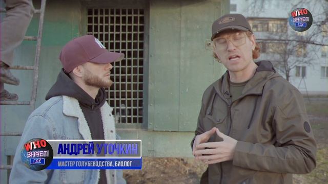 Голуби-убийцы. Как они появляются, и как их отличить. смотреть онлайн