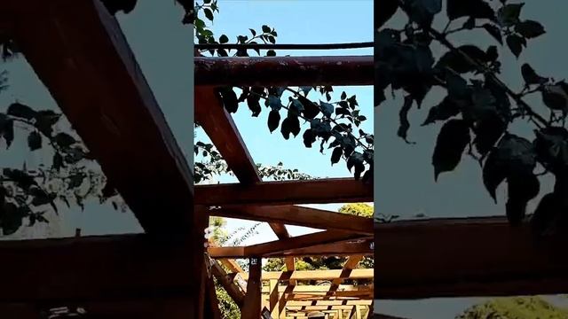 Едем смотреть лабиринт Минотавра. Остров Крит смотреть онлайн