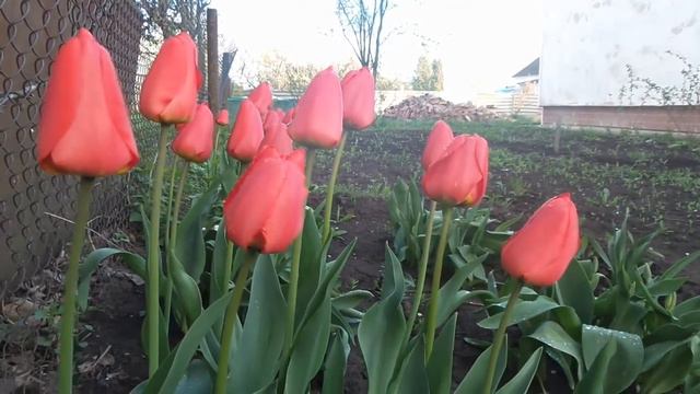 20.Весенний релакс!!! смотреть онлайн