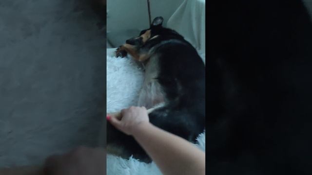 Ранние прогулки это не для Влады