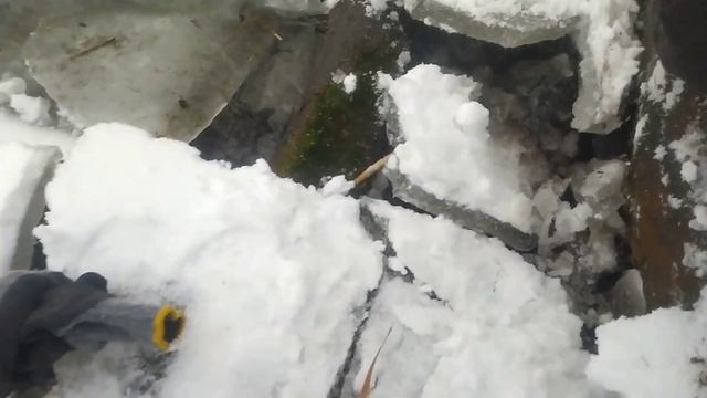 С Дочкой на природе | Учим детей любить природу смотреть онлайн