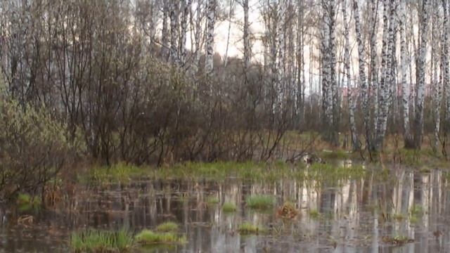 Самодельный вездеход ока на больших колесах. смотреть онлайн