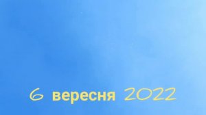 Пермские голуби гривуны