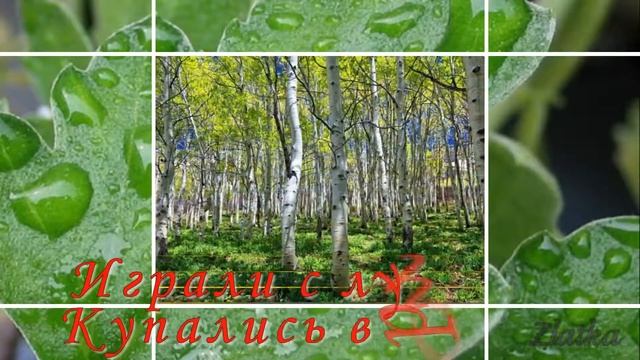Листья Ф. Тютчев смотреть онлайн