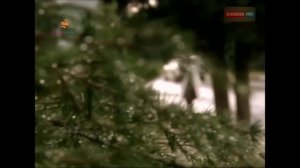 ХОМИЁН | 38.КИСМ