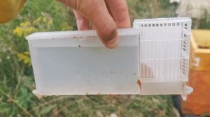 ИспарительNessenheider и обработка пчел муравьиной кислотой