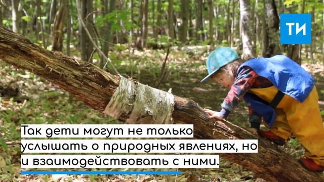 В Финляндии дети учат родителей сортировать мусор смотреть онлайн