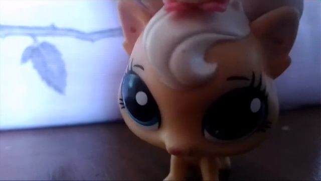 У меня пропала кошка ! смотреть онлайн