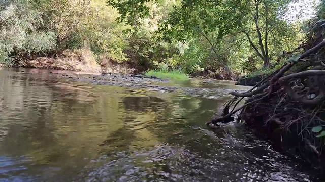 Шум быстрой реки , пение птиц для отдыха и сна смотреть онлайн