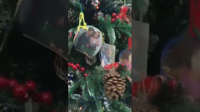 Елочка Бат-Ям, ул Бальфур, 49 ч.1 смотреть онлайн