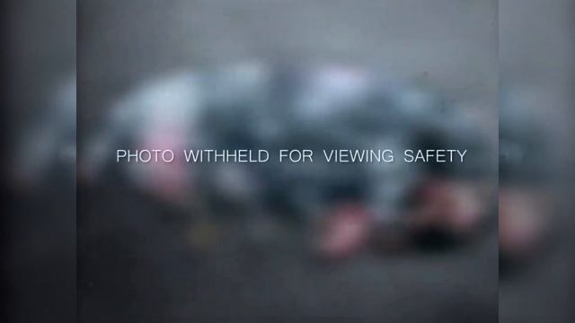 Happy Meat Farms Модификация генома Тест 043 смотреть онлайн