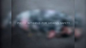 Happy Meat Farms Модификация генома Тест 043