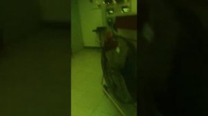 маска ресанта мс 2