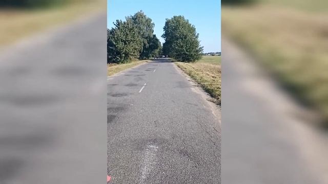 Осенний кросс 2000 м.Смотрим участников бега на дистанции 1 км смотреть онлайн