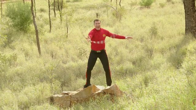 Hula, Hula Baby | Hula Hoola Hoop Dance | Kids Songs | The Wiggles