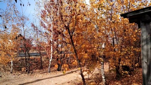 22 октября-народный праздник ЯКОВ СТУДЕНЫЙ.Первая каша.Что нельзя делать. Народные приметы. смотреть онлайн