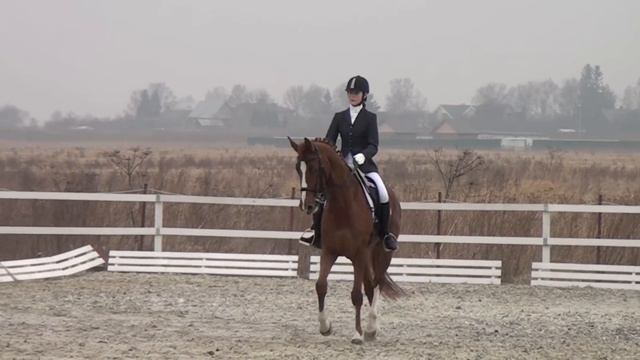 Роксана и Браслет-Пред.Приз.юноши-КСК"Стиль"-22.04.2012 смотреть онлайн