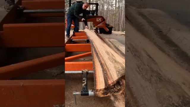 Пилорама WoodMizer LX55 и дерево тополь #woodworking #shorts #деревообработка #пилорама смотреть онлайн