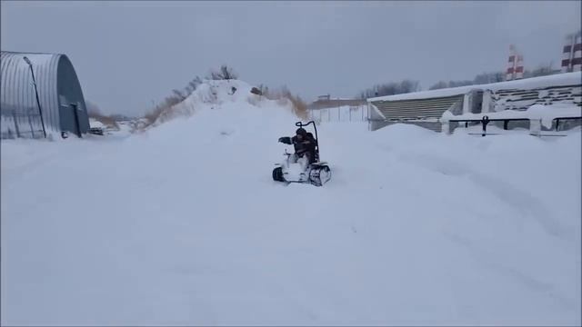 Новинка - Robcom Venom Panthera