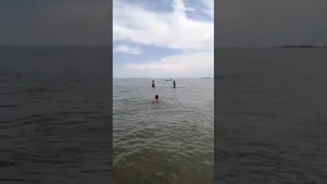 Только в Августе понимаешь,какое же оно короткое - это Лето ... #скоросентябрь ? смотреть онлайн