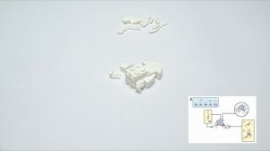 Мир на ладошке: кальмар