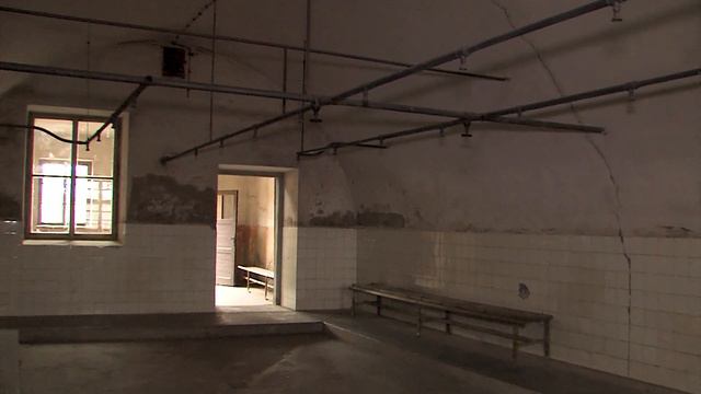Prošla Terezínem, v koncentračních táborech jí zemřela rodina смотреть онлайн