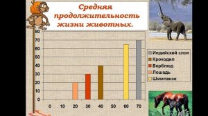 математика.6класс. тема: cтолбчатые и круговые   диаграммы.