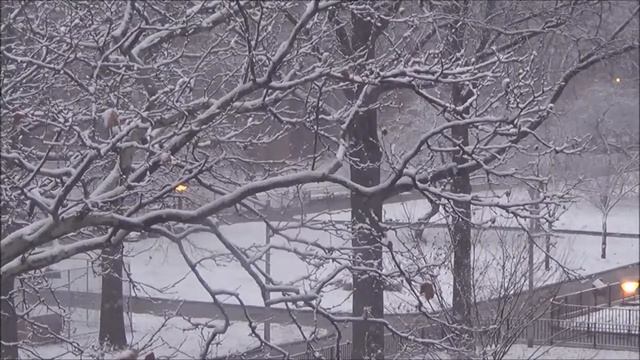 First Snow In Brooklyn, Timelapse  (США- Бруклин: Первый Снег, Декабрь 2017го.)