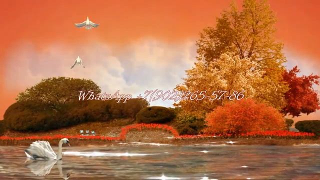Подарок мужу на 30 лет - что подарить мужу на день рождения 30 смотреть онлайн