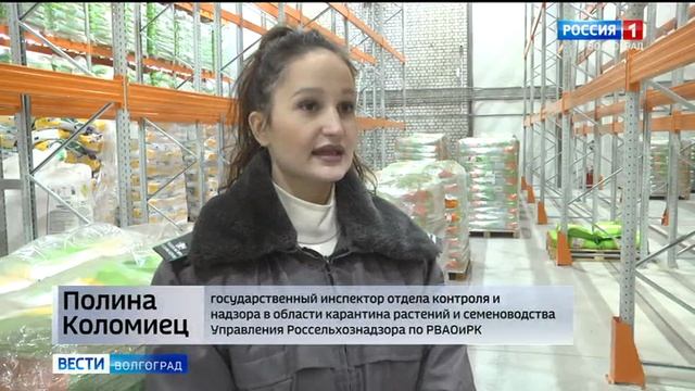 Проверка семян перед весенним севом. Волгоградская область. смотреть онлайн