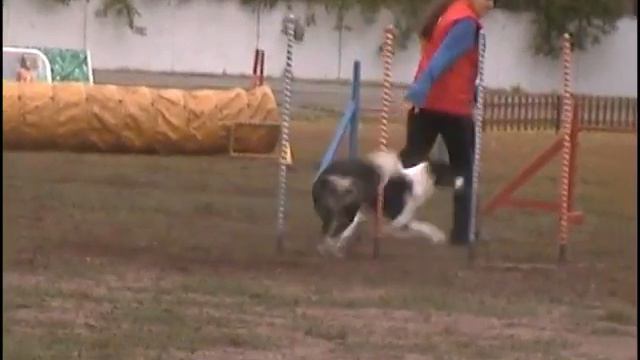 Лашкул и Санни Финал смотреть онлайн