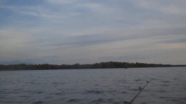 Карп Лещ на вечернем клеве в Запорожье#Запорожье#Рыбалка #Fishing смотреть онлайн