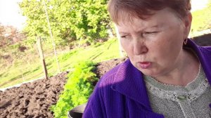 Vlog # Бабье лето.Покупка рыбы  карп. Забой птицы.