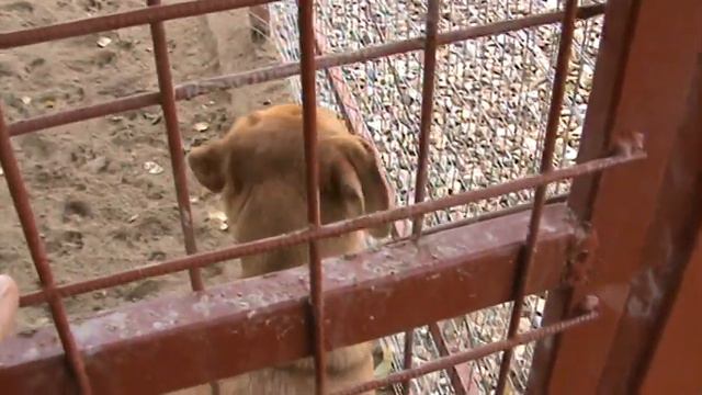 ДЦ *ZооИмперия* г.Ярославль