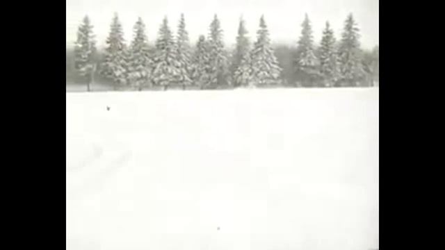 Кинохроника. Охота на волка в России 1910. Wolf Hunting In Russia 1910