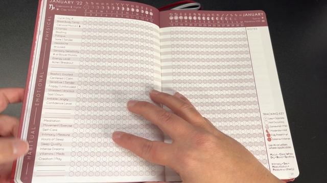 Cycles Journal 2022 | Flip Through and First Impressions #journal #planner смотреть онлайн