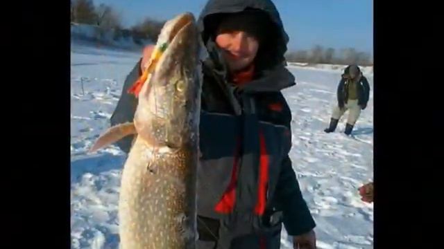 ФИОН и зимой ФИОН!!!.wmv смотреть онлайн