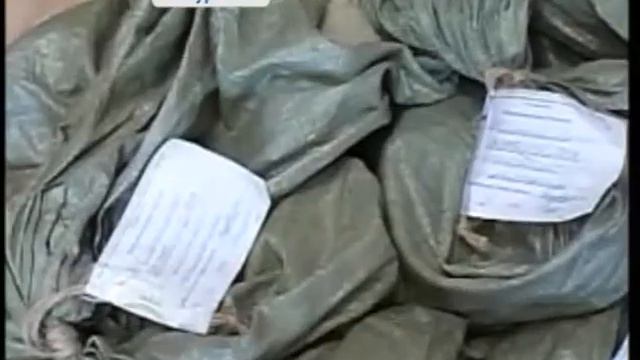 Приморские таможенники изъяли рога носорога смотреть онлайн