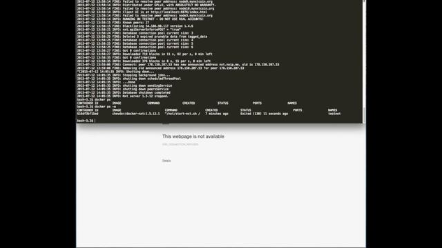 Running the NRS Client for NXT in a Docker container смотреть онлайн
