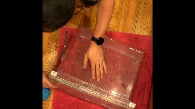 How To Dissemble Samsung Refrigerator Vegetable Drawer For Cleaning